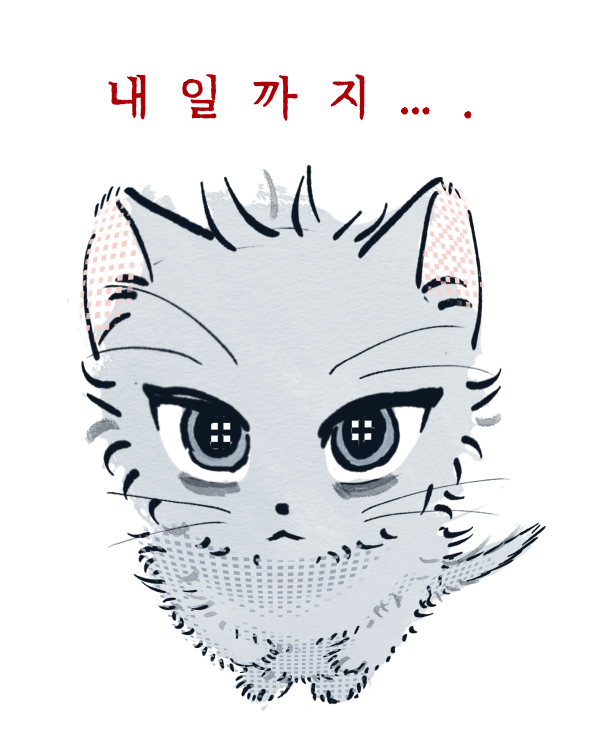 콤 tweet media