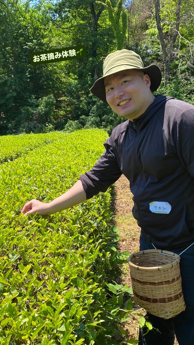 taromanko's tweet photo. お茶摘み体験🌱 https://t.co/ycCyPeGWa4