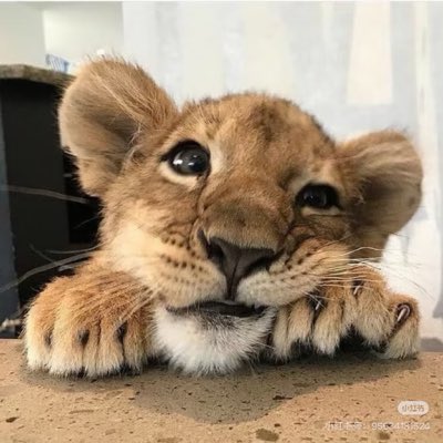 Q_0872's tweet photo. #NewProfilePic (新個人資料照片) https://t.co/ZwgJPdrrkz