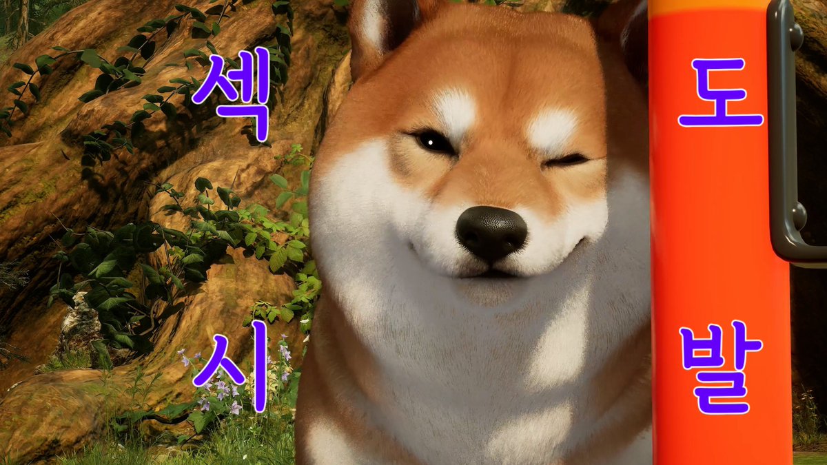 챠륵 tweet media