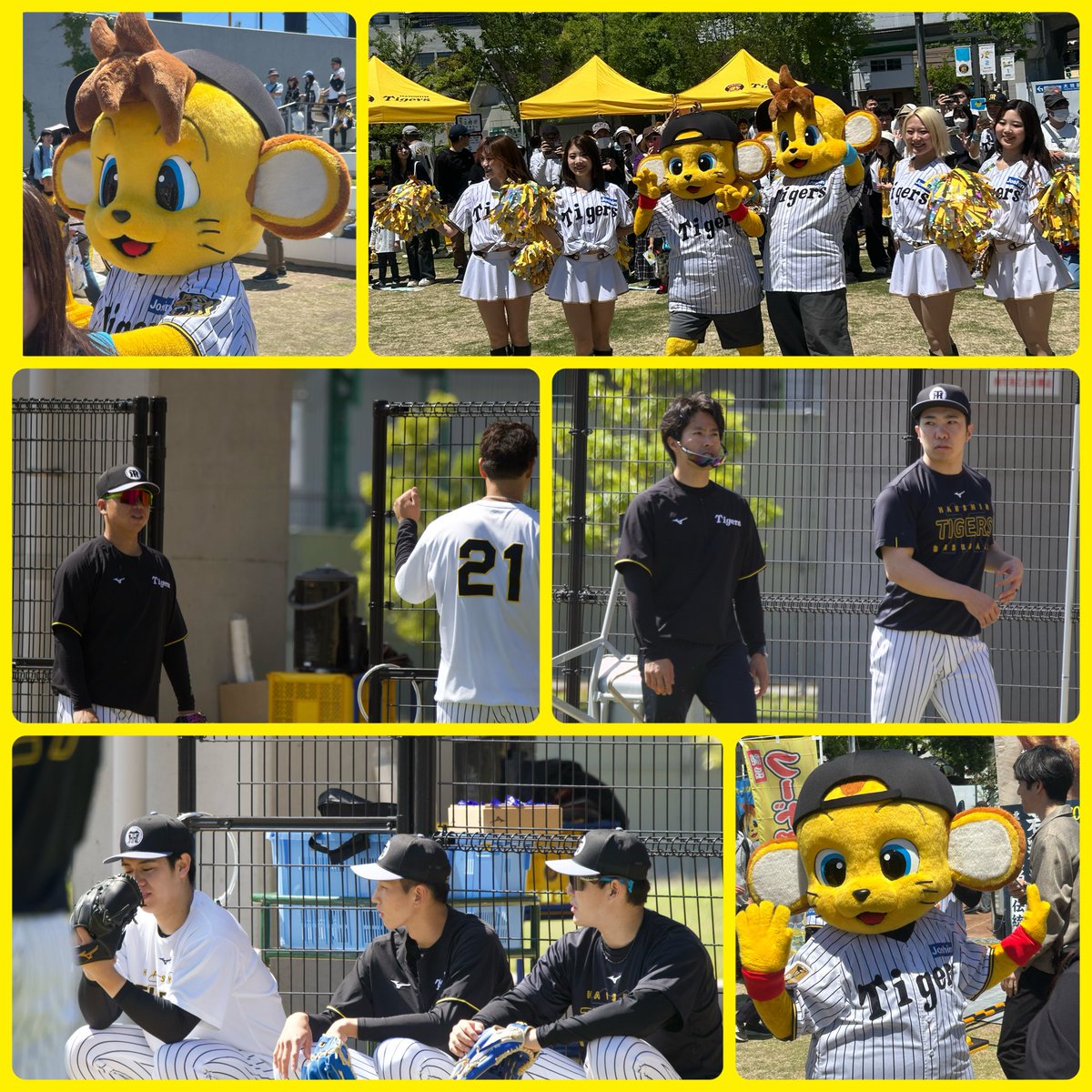 imachan.ARE⚾️極🏟Tigers【野球】バカ tweet media