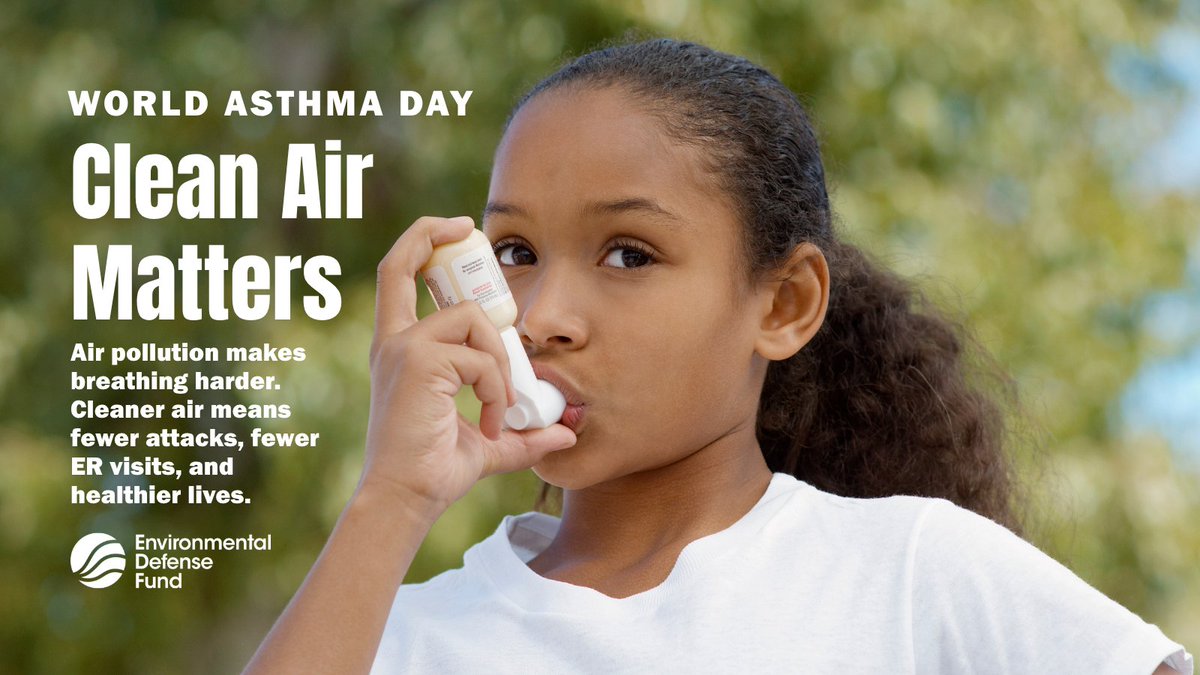 Environmental Defense Fund - Florida tweet media
