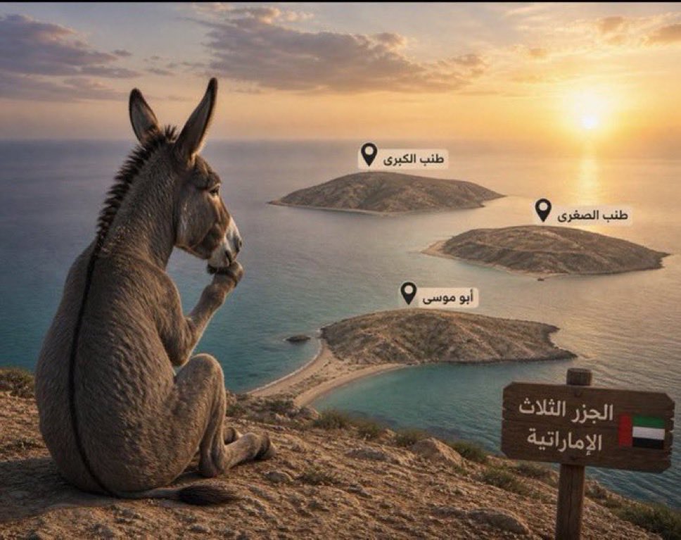 🇸🇦 tweet media