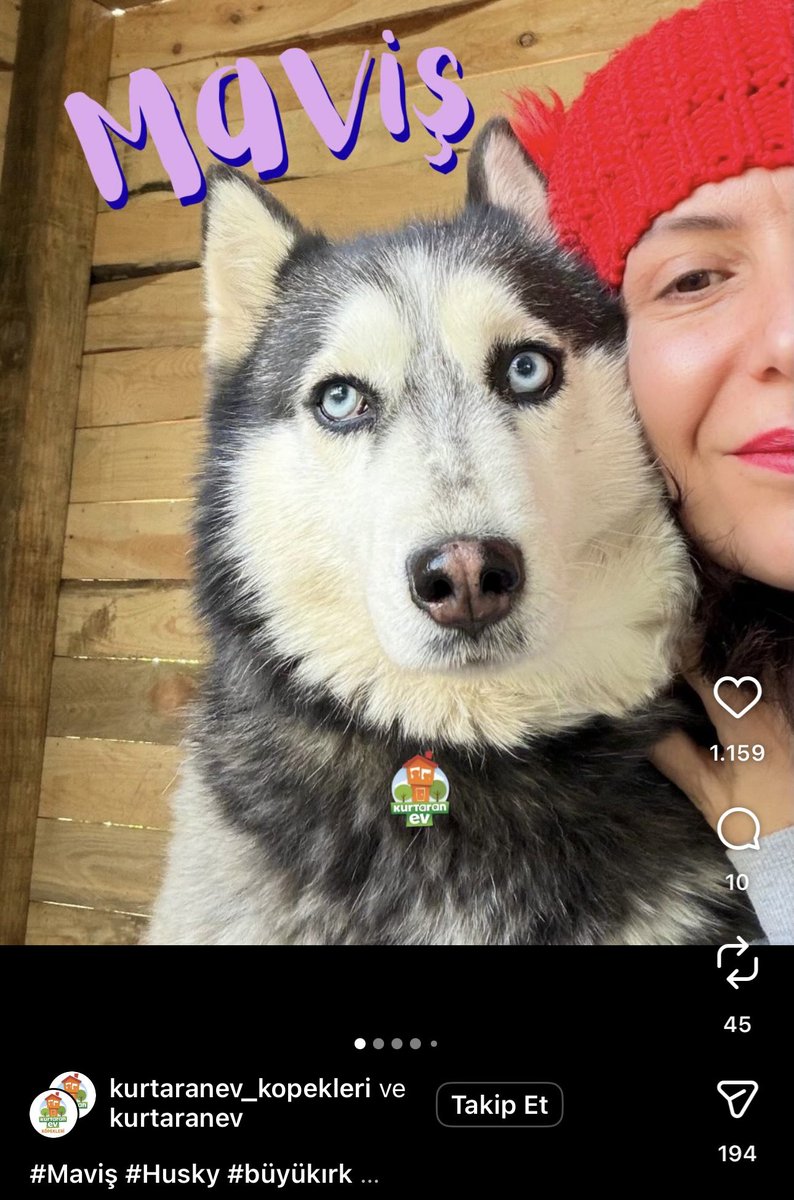 cansu şimşek tweet media
