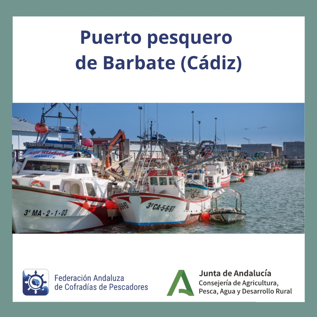 Federación Andaluza de Cofradías de Pescadores tweet media