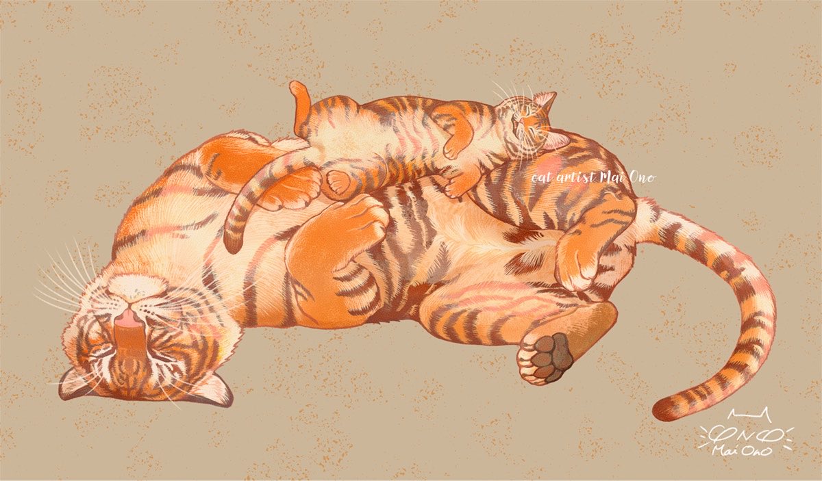 オノマイ🐈 tweet media
