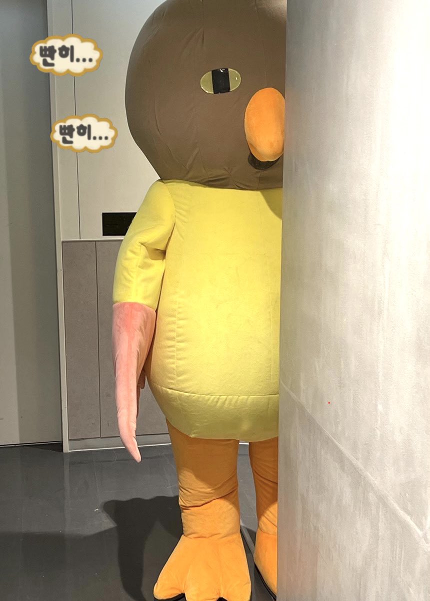 ๐๐-๐๐๐๐ tweet media