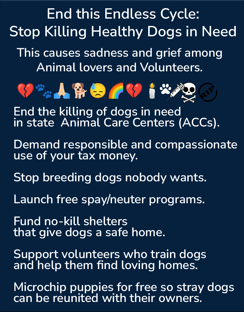 MSC1111's tweet photo. @MoishesMom @notthesameone2 #EndShelterKilling #StopTheCull #SecondChanceDogs #NoKillAdvocate #EveryLifeMatters #LoveRescueDogs #VoiceForTheVoiceless https://t.co/o1g3s9w7Zf