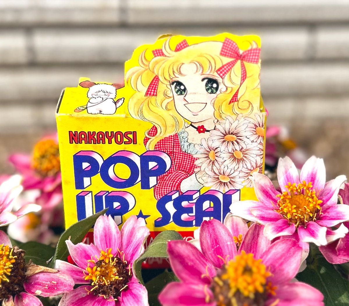 キャンディキャンディ