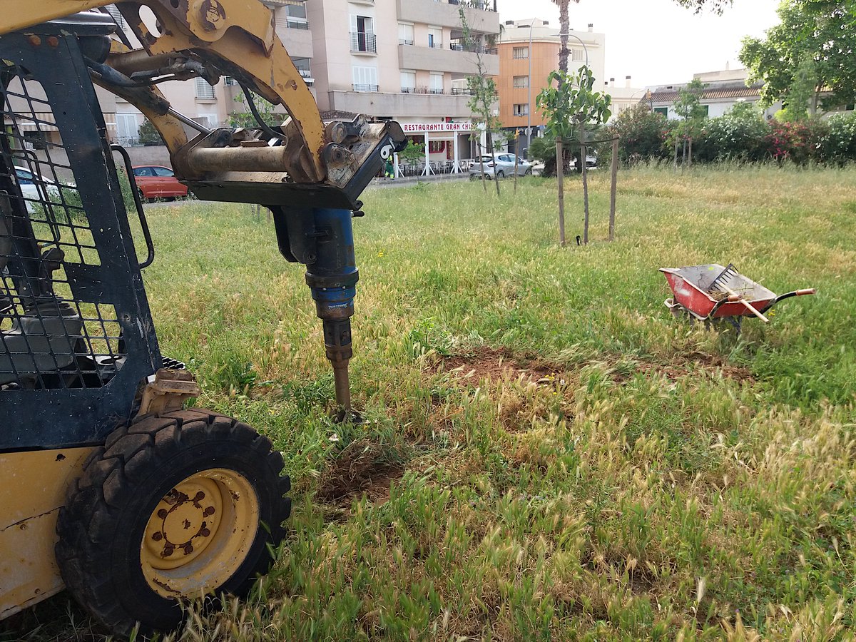 Foto d'aquest matí al Parc de Les Palmeres. Sembla que l' <a href="/ajuntpalma/">Ajuntament de Palma</a> està llevant els tocons de les dues mèlies que varen talar ja fa quatre anys i que, des de llavors, hem demanat que els substitueixin per dos nos arbres.   Estarem atents a veure si ho fan.
