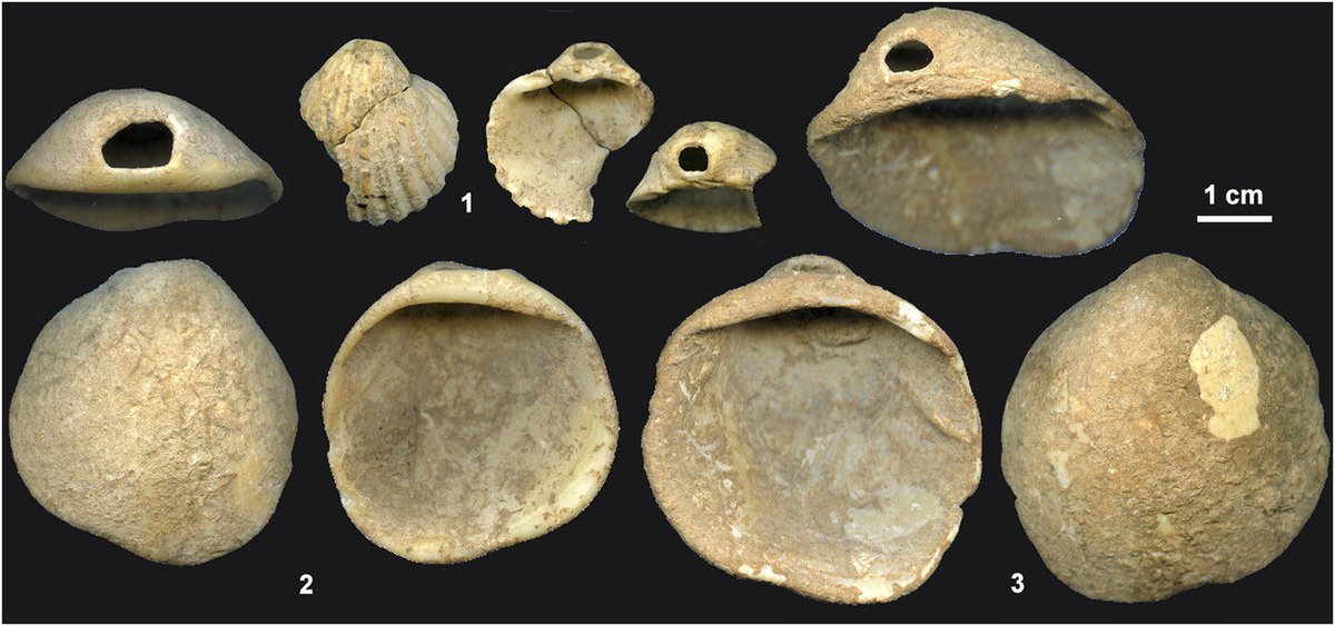 Madam Archaeologist tweet media