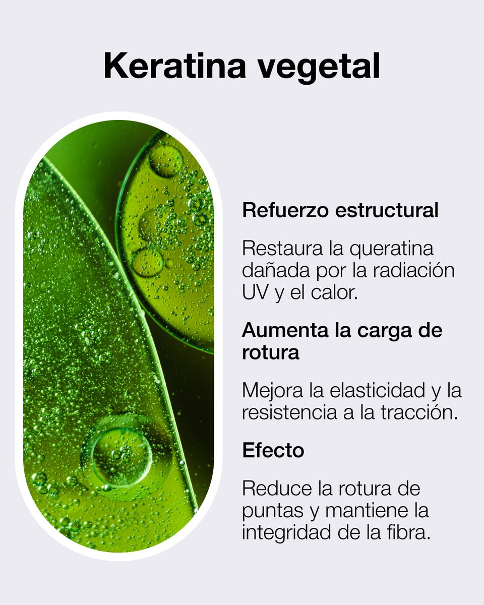 taheoficial's tweet photo. El problema no está en el #sol, la #sal o el #cloro… está en cómo proteges tu #cabello. 😏
#BOTANICSUN lo cuida con:
💛 #Ceramidas Biomiméticas.
💛 Y #Keratina vegetal.

Blindaje externo + reparación interna = Protección Técnica Capilar todo el año. https://t.co/vL5P8cZ4VX
