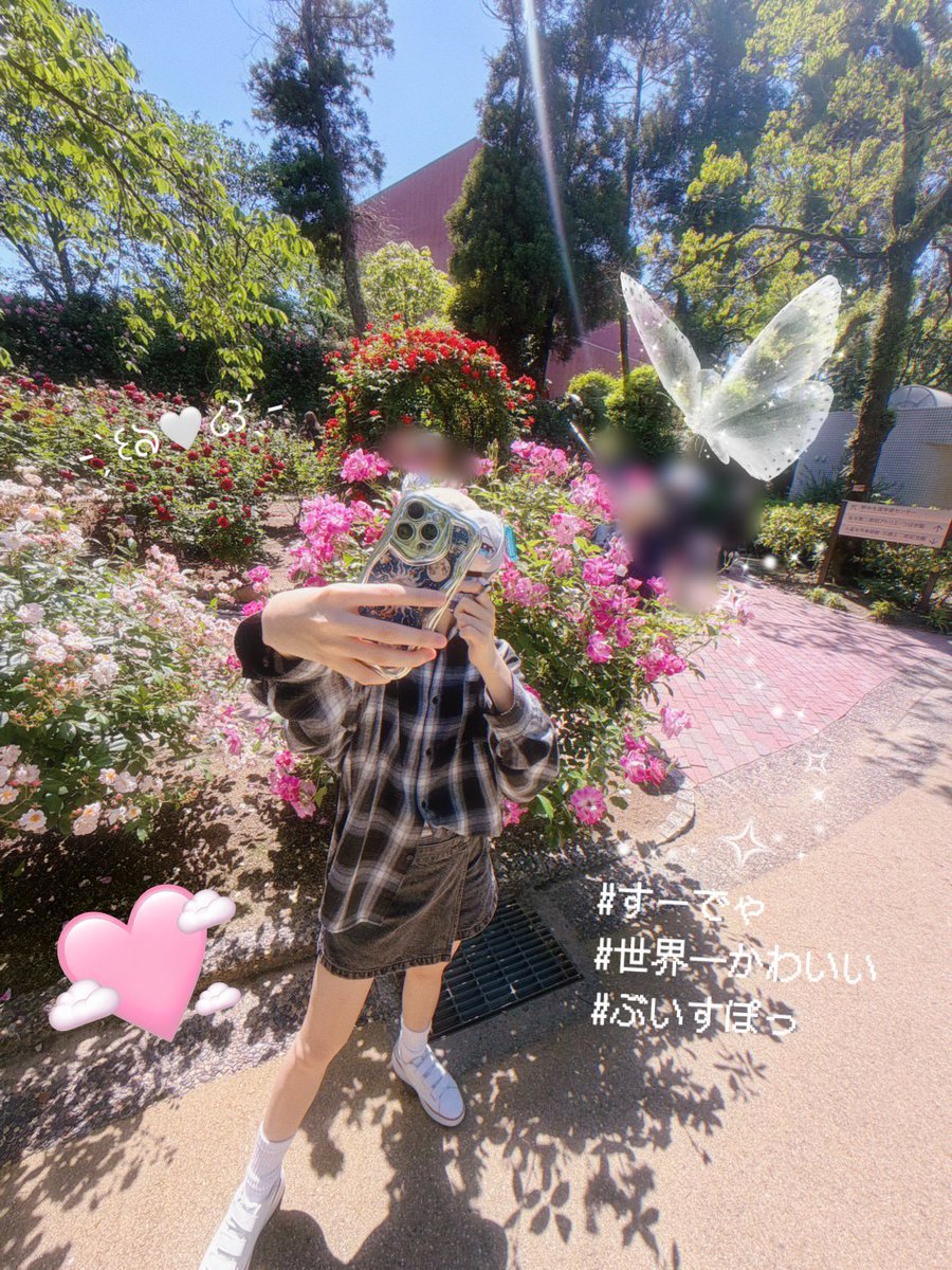 薔薇たくさん咲いている場所行ってきた~💭🩵
くまは妹のびーふぁ…w
 #花芽すみれ