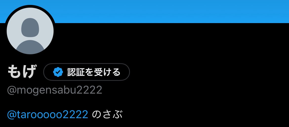 妄言 低浮上 tweet media