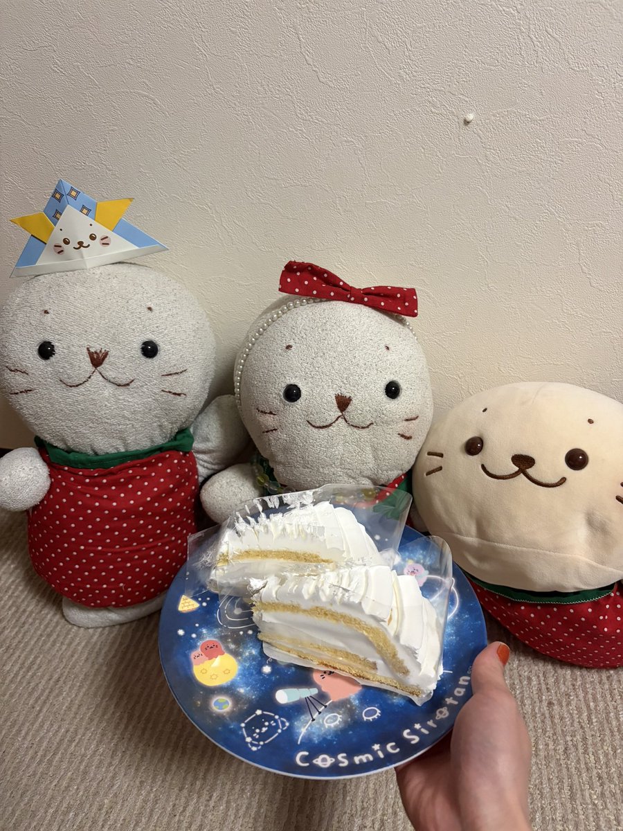 noko_4646's tweet photo. こどもの日だからケーキ買ってもらったきゅ！美味しそうきゅ！
#しろたん https://t.co/0Zq6ayraD4