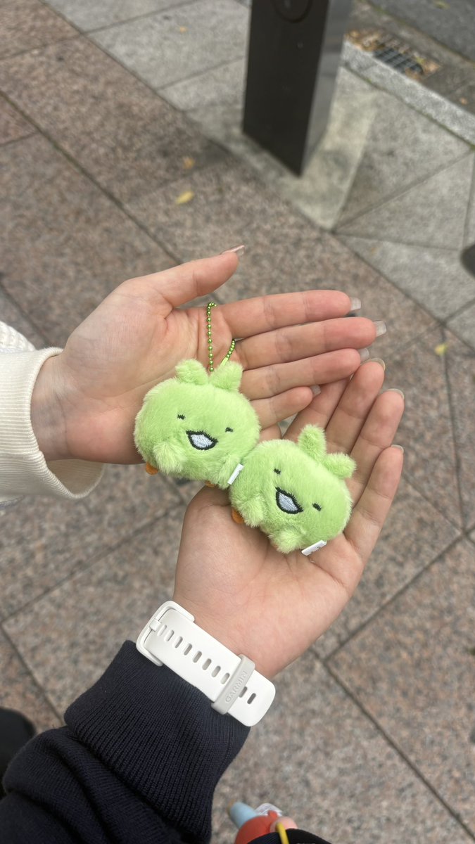 muunieru's tweet photo. モリゾーとキッコロのぬい、ムギュムギュしててほんとに愛おしい。 https://t.co/Ji83xPaRsl