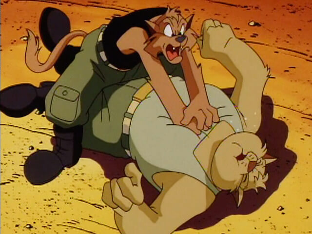 lanajhonpual's tweet photo. Chance and Jake are in their military-like clothes at the start of the season #SWATKats https://t.co/28kLCvM5oH