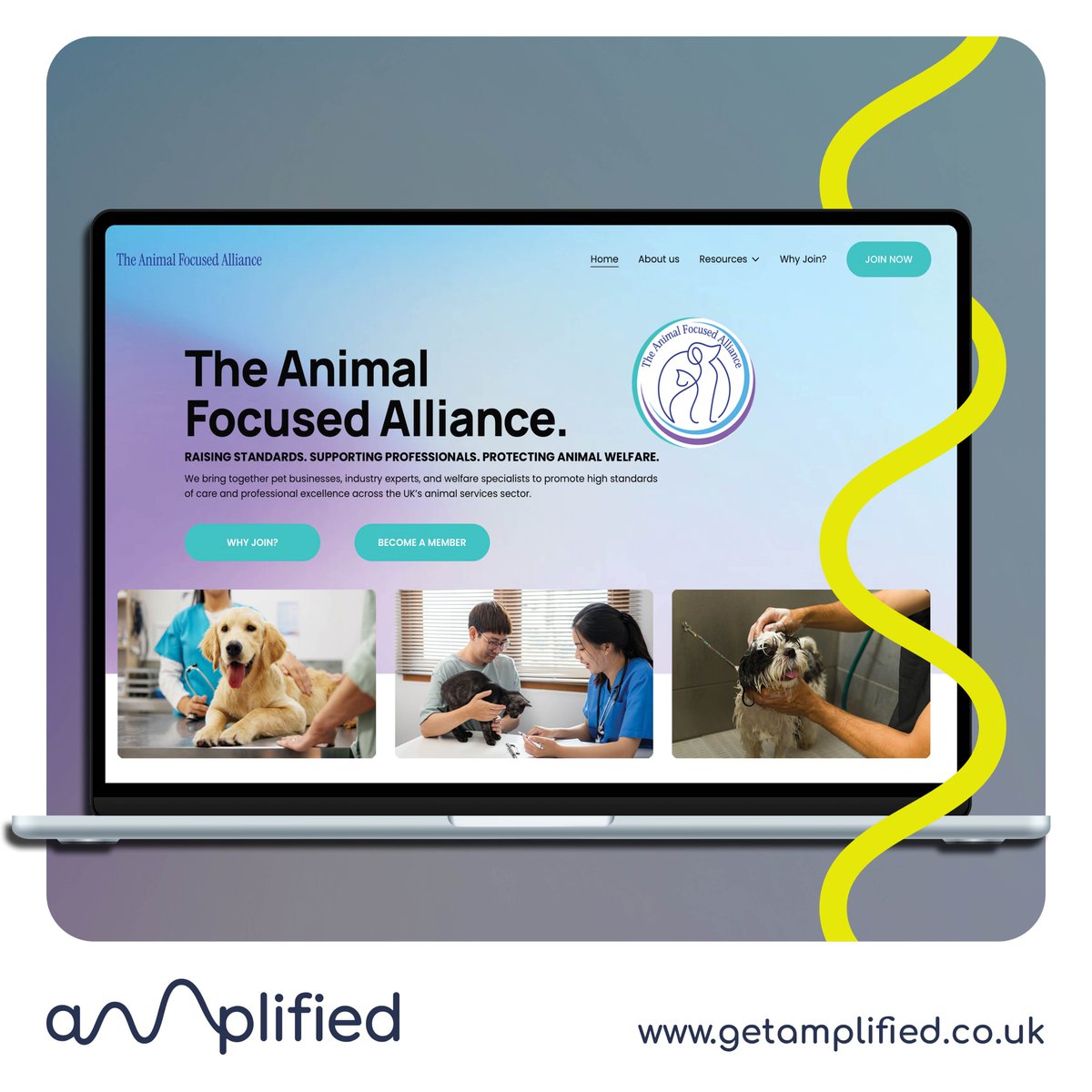 getamplified24's tweet photo. Another one for the animal crew 🐾

The fresh new Animal Focused Alliance website is now live 👉 https://t.co/0aQhVMWXvp

Cleaner design and smoother user journeys….

If your website’s feeling a bit… ruff 🐶 we’re fluent in both UX and wagging tails 👇
https://t.co/mNGfwJhp81 https://t.co/r9cygcj2ft