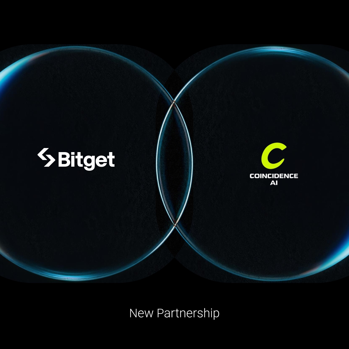 Bitget tweet media