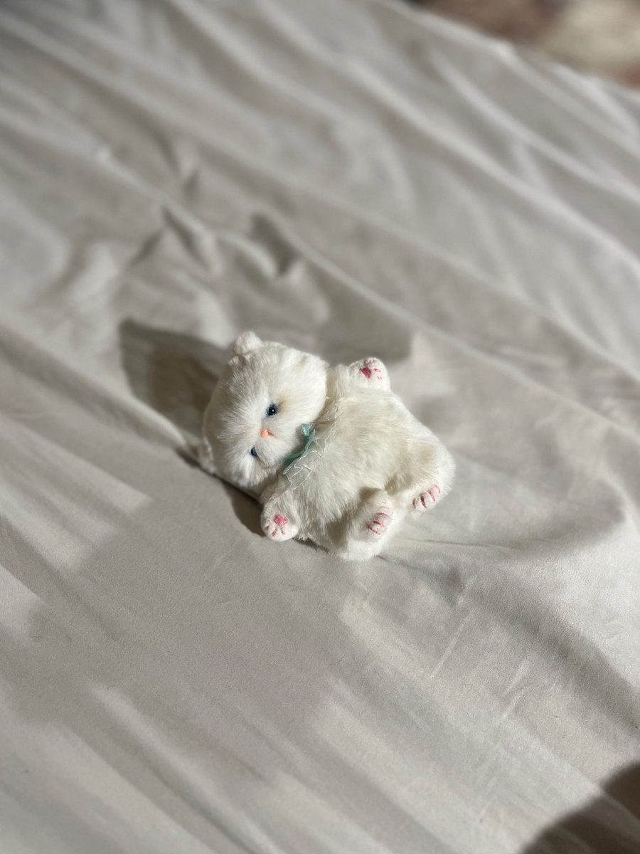 𝙎𝙢𝙖𝙡𝙡 𝙖𝙣𝙙 𝙘𝙖𝙡𝙢 tweet media
