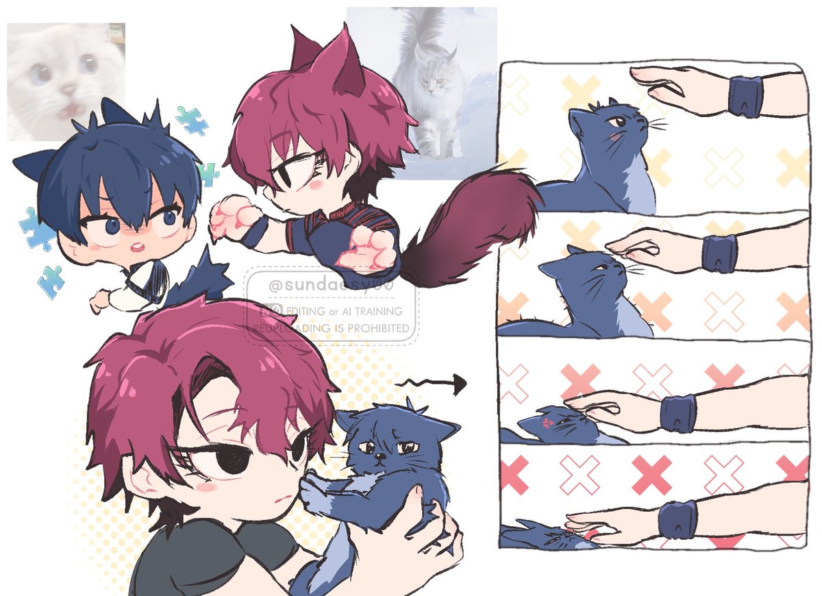 hgis😾🐾