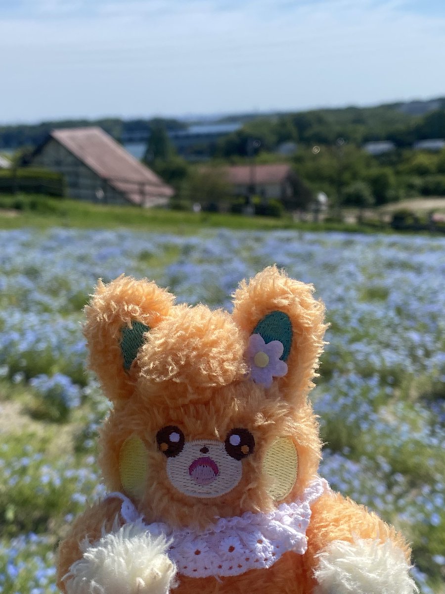 みみたす@ポケモンGO tweet media