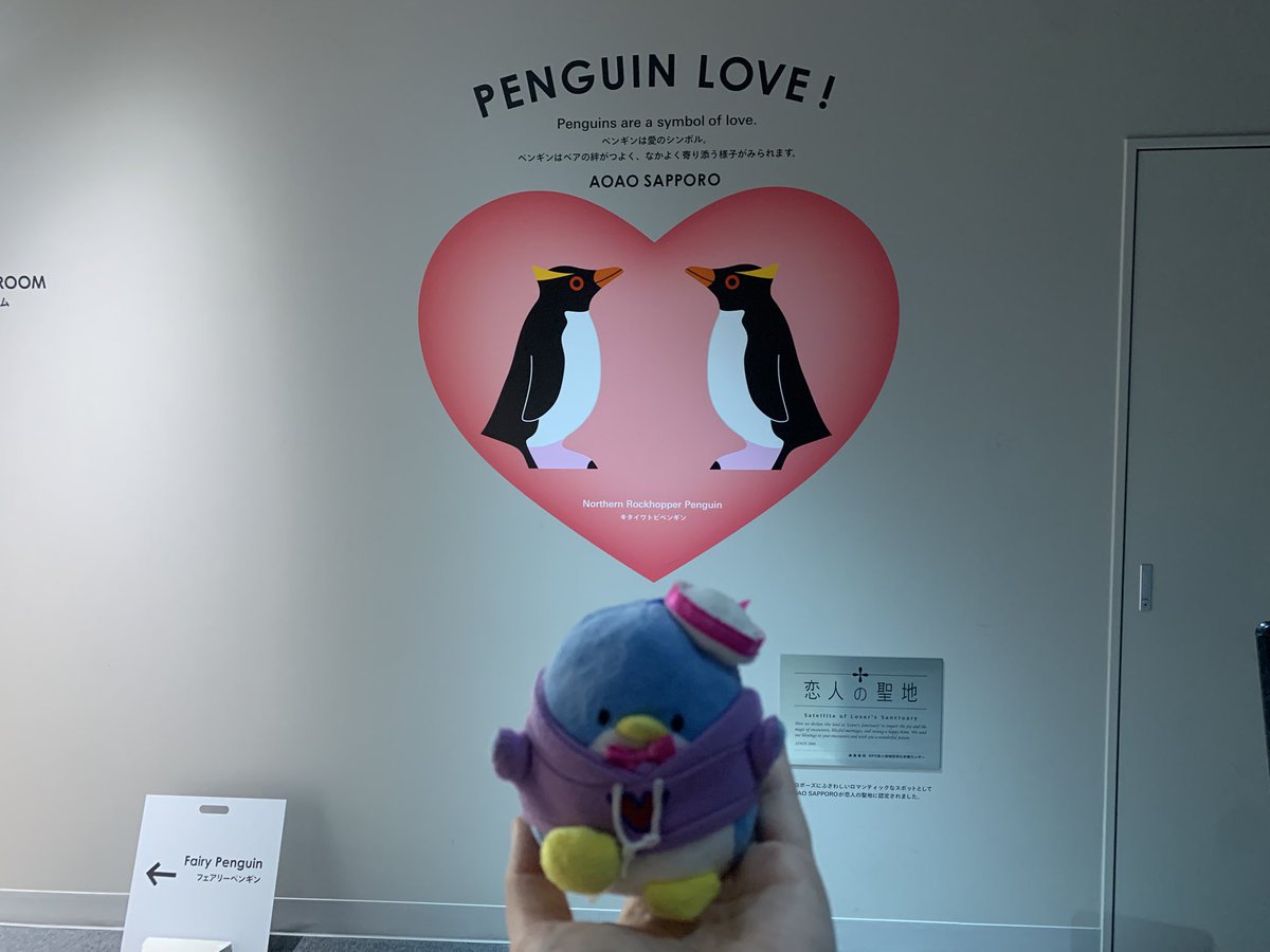 machoco_dairy's tweet photo. ペンギン友達に会ってきました

#タキシードサム　#AOAOSAPPORO https://t.co/5m3E7nZ2ZH