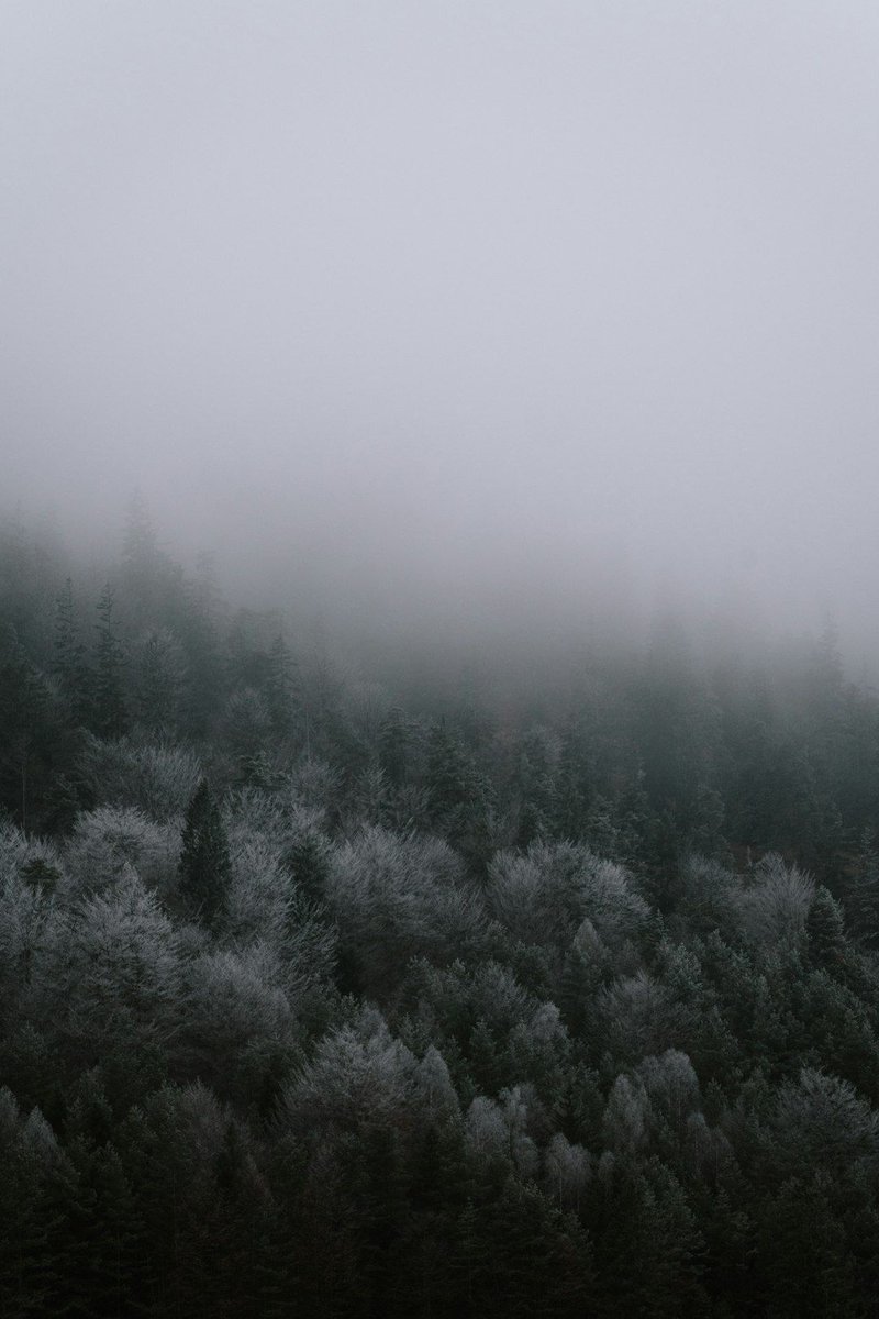 Timothy_Hughes's tweet image. Anthropic co-founder Jack Clark published a new blog post on self-improving AI, putting 60%+ odds on AI systems training their own successors before 2029 buff.ly/v713aqT #ArtificialIntelligence #Innovation #Technology #Tech #TechNews