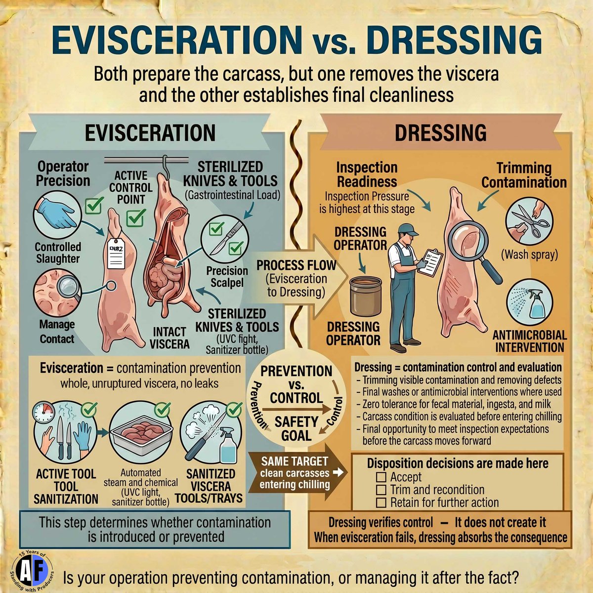 AgriForaging's tweet photo. EVISCERATION vs DRESSING
Both prepare the carcass, but one removes the viscera and the other establishes final cleanliness 🔪 https://t.co/FQQUK8F3N2