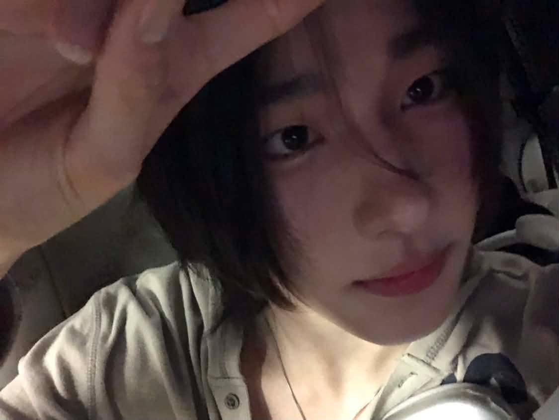 테디베어 tweet media