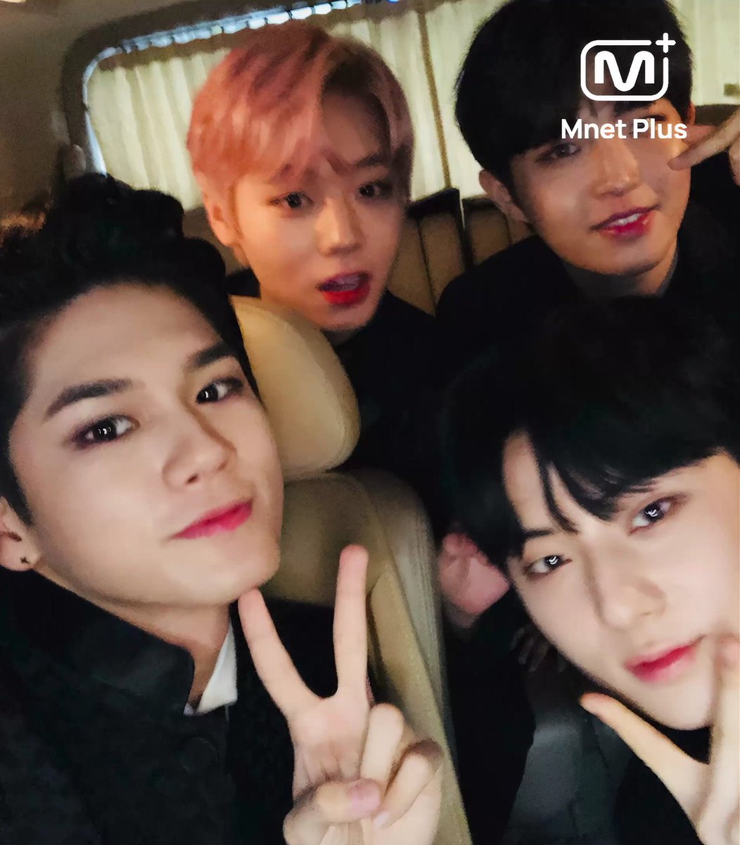 낑이 tweet media