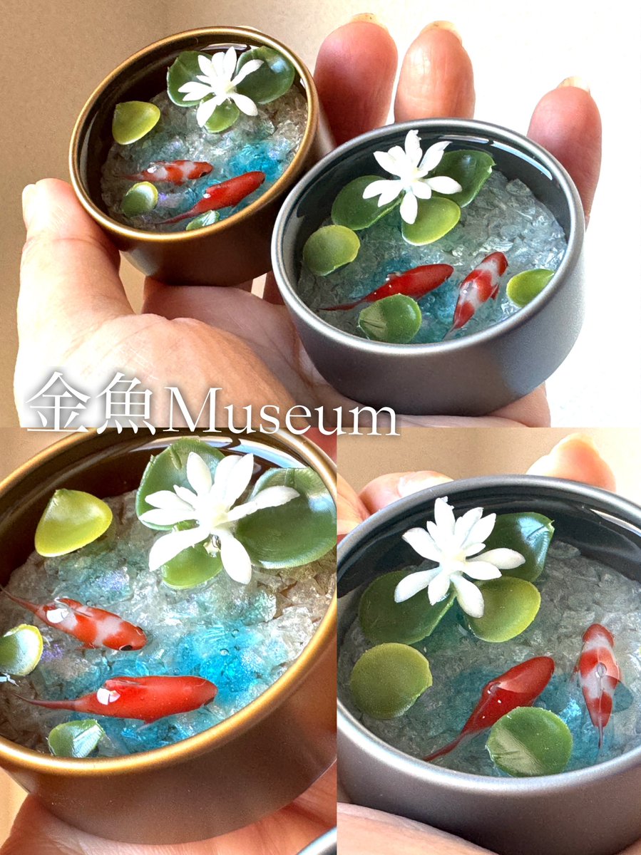 ミセス金魚さま ミニ金魚缶🥰 睡蓮の池を作ってみました♪ 5月のデザフェスは金魚缶