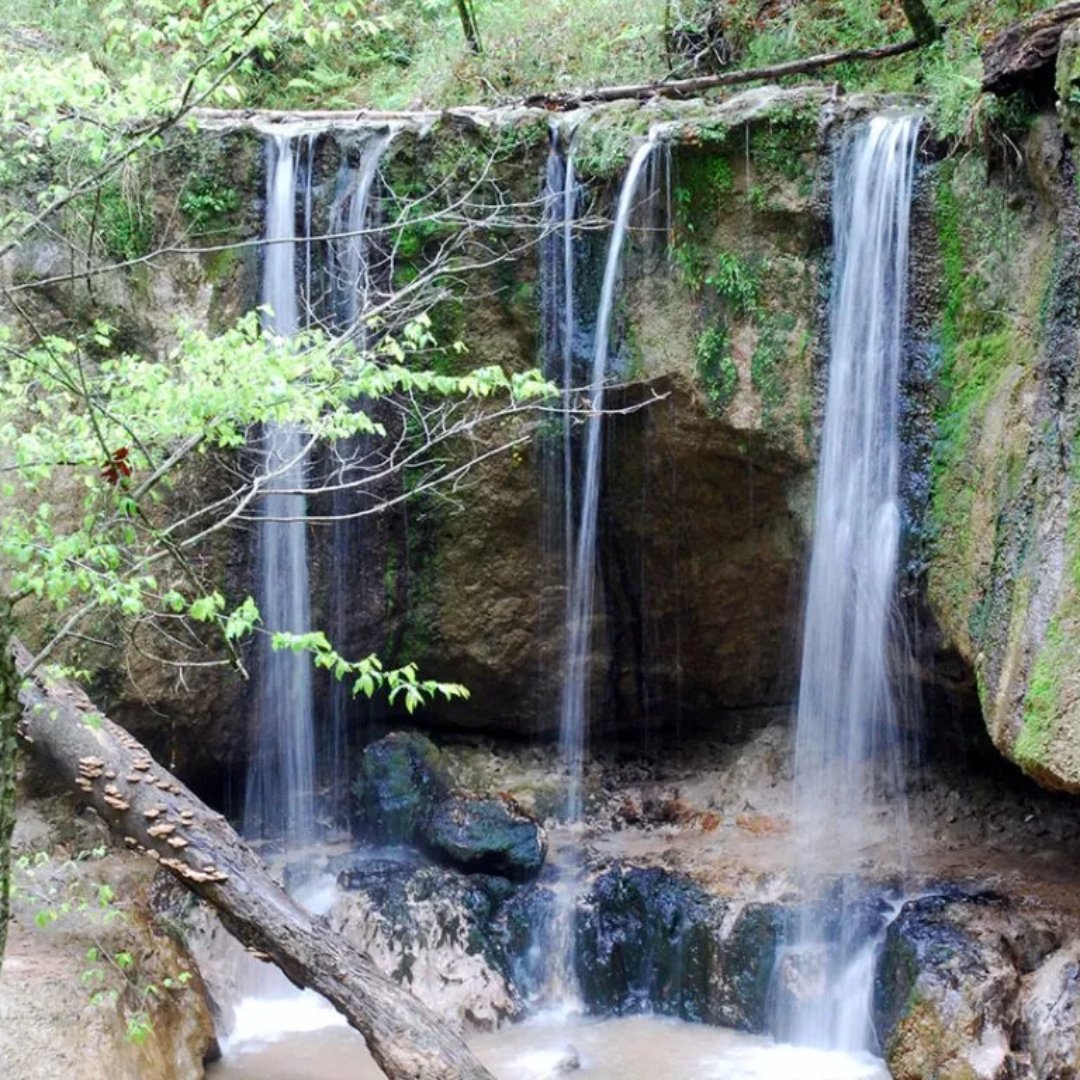 MissinOutMS's tweet image. 🌊 Kickstart your week at Clark Creek Natural Area! Over 50 cascades in lush Mississippi await to inspire and motivate you! 💪 #MotivationMonday #ClarkCreekMS #MSWaterfalls #OutdoorMotivation