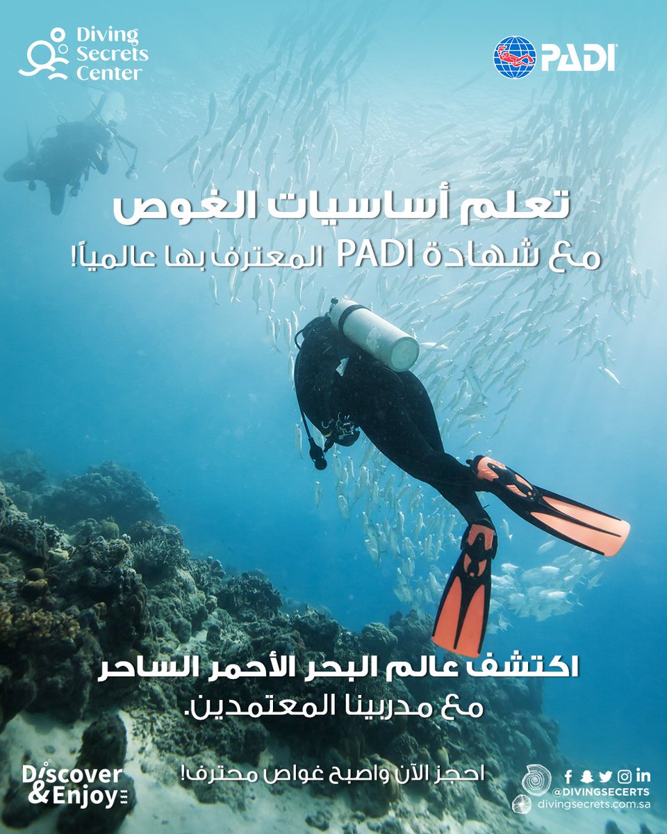 DivingSecrets's tweet photo. -

🌊 تعلم أساسيات الغوص مع شهادة PADI المعترف بها عالمياً
🏆 اكتشف جمال وأسرار البحر الأحمر مع مدربينا المعتمدين وذوي الخبرة
💪 احجز الآن وابدأ رحلتك لتصبح غواصاً محترفاً بثقة وأمان
📩 تواصل معنا الآن لمعرفة التفاصيل والحجوزات

#DivingSecrets | #أسرار_الغوص | #غوص | #البحر_الأحمر
