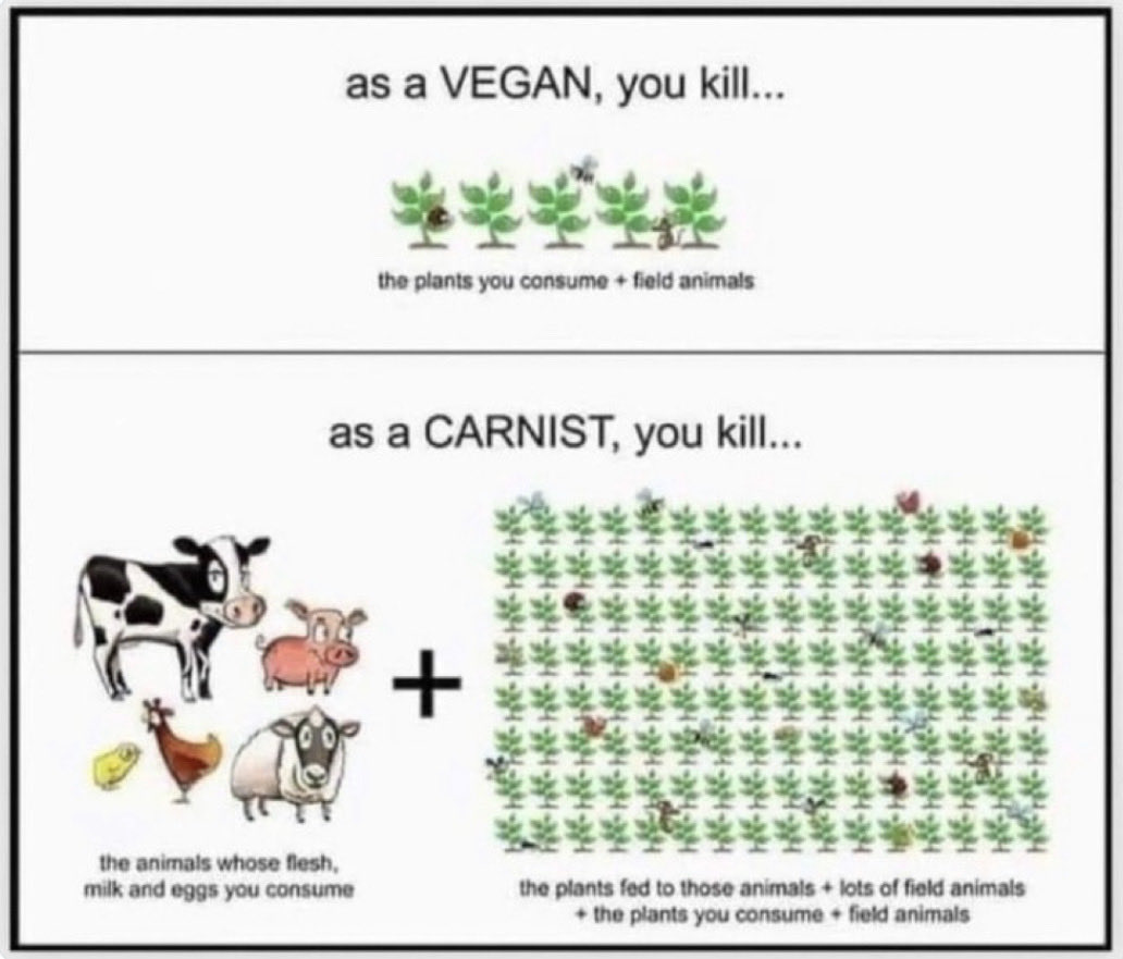 Yes choosing to not harm and kill animals is inherently the morally superior position.

All else equal, the only difference is choosing to not harm and kill animals. Even in crop harvests it’s infinitely more ethical.