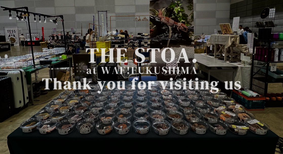 THE STOA.｜爬虫類専門店in東京 tweet media