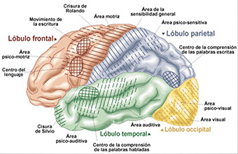 MariaAvefor's tweet photo. 2. Cambia leer por recordar.
Abre un simulacro.
Di en voz alta  o escribe TODO lo que recuerdes de esa pregunta antes de responder.
👉 Lo que no sale → se repasa
👉 Lo que sí sale → está consolidado
Esto no solo mejora la memoria.
También reduce la ansiedad de examen. https://t.co/Xio54gOZJB