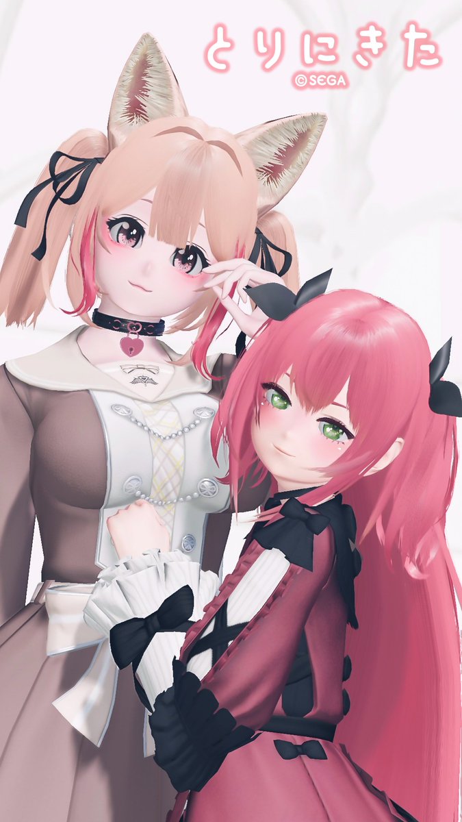 とりにきた