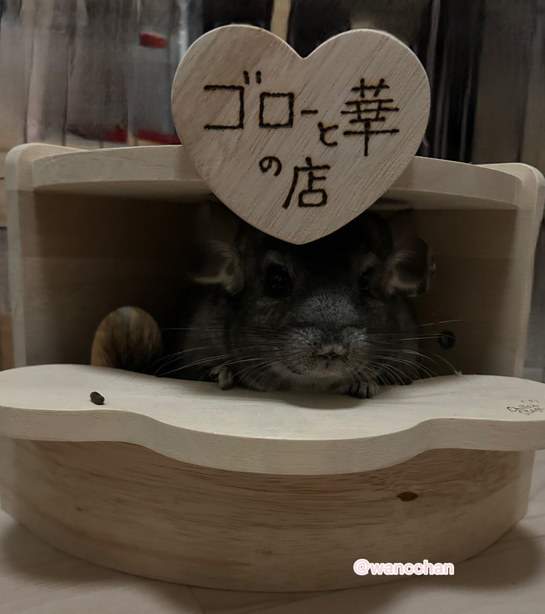 まるちゃん tweet media