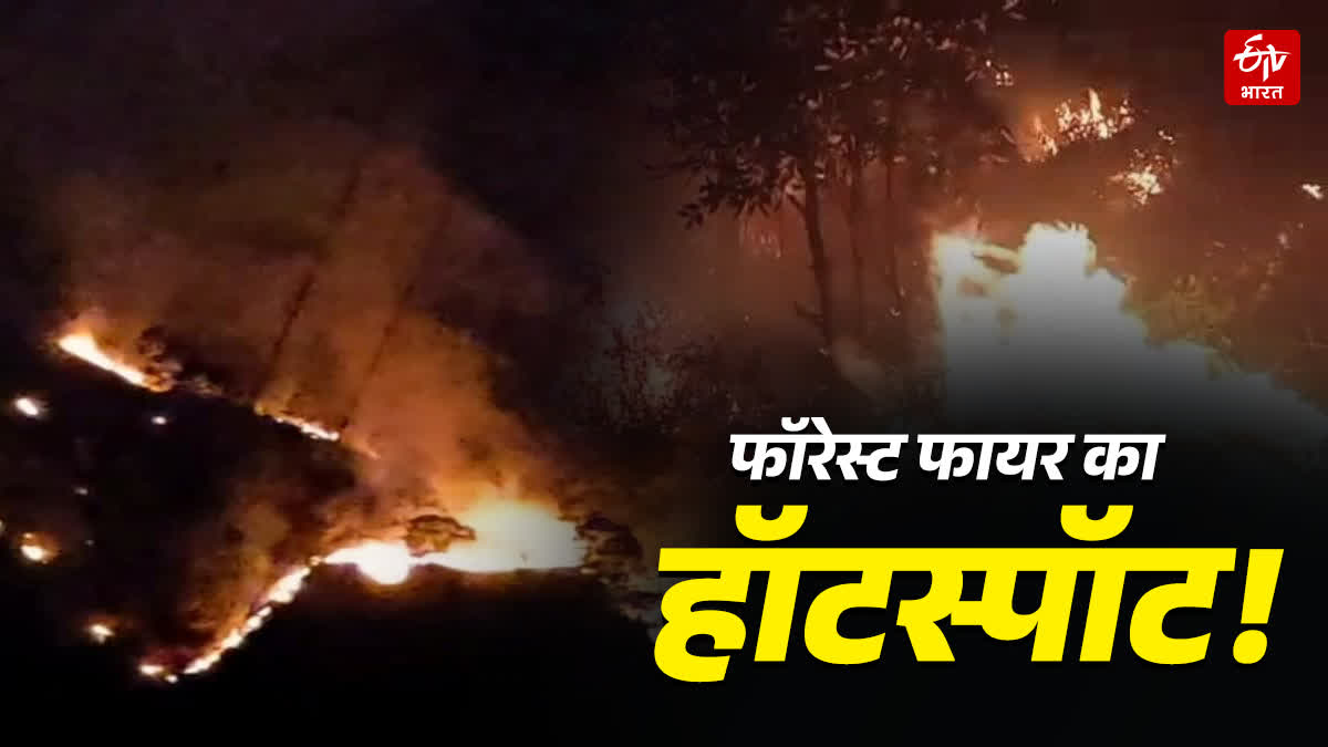 ETVBharatUK's tweet image. फायर हॉटस्पॉट बना बदरी-केदार वन क्षेत्र, क्या श्रद्धालुओं की भीड़ बढ़ा रही खतरा? 
@ukfd_official @SubodhUniyal1 #badrinath #kedarnath #uttarakhand #forestfire
पूरी खबर का लिंक---
etvbharat.com/hi/bharat/fore…
