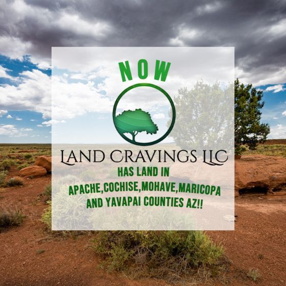 LandCravings's tweet image. Want to pay monthly for Arizona Land? landcravings.com/contact/ #GPS #land #forsale #invest #buy #mountain #financing #preppers #Arizona #money #minimalist #yavapai #Apache #Mohave #colorado #landcravings.com   visit our website: landcravings.com