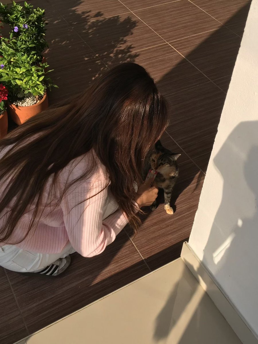 jjjnvqua's tweet photo. 给你的祖宗舔屁眼 傻逼 上供来 #上贡 https://t.co/mrIyLldJyp