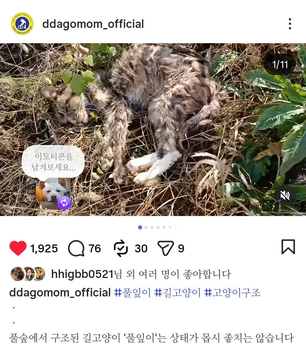 🐻‍❄️웅이🐻‍❄️ tweet media
