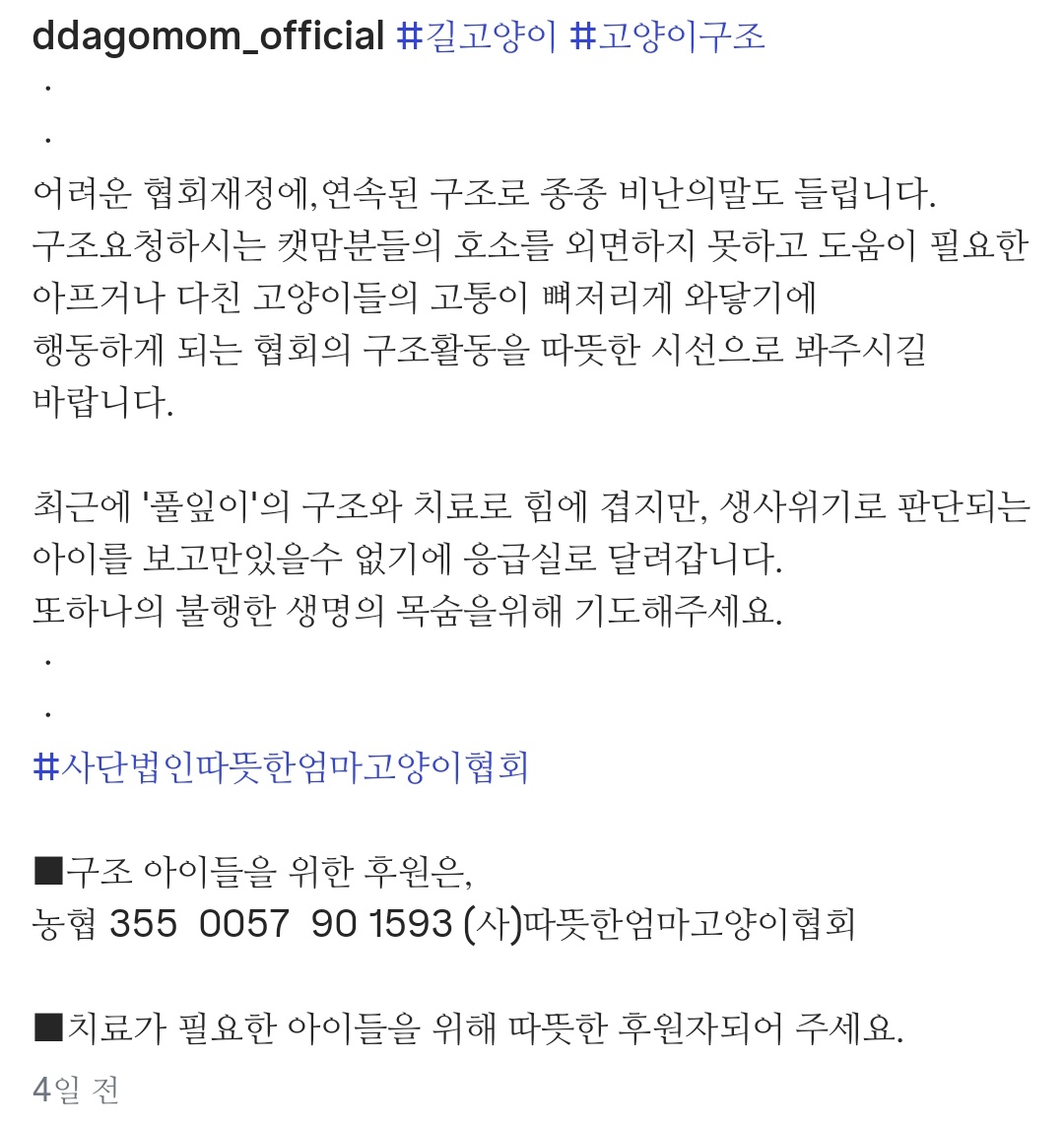 🐻‍❄️웅이🐻‍❄️ tweet media