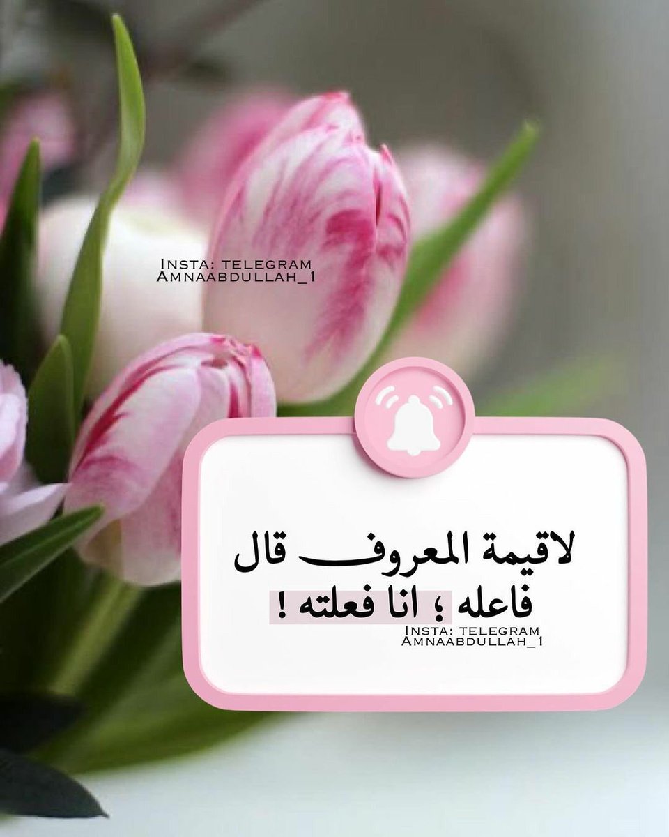 أ-آلُِسفُرٍة آلُِڪرٍآم💕📚 tweet media