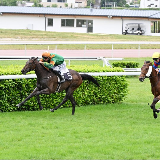 BallylinchStud tweet picture