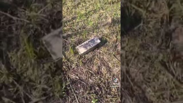 Aparecen cajas en bosques de EEUU y Europa que contienen garrapatas.
Preparando para próxima plandemia, al tiempo.
eldiestro.tv/video/aparecen…