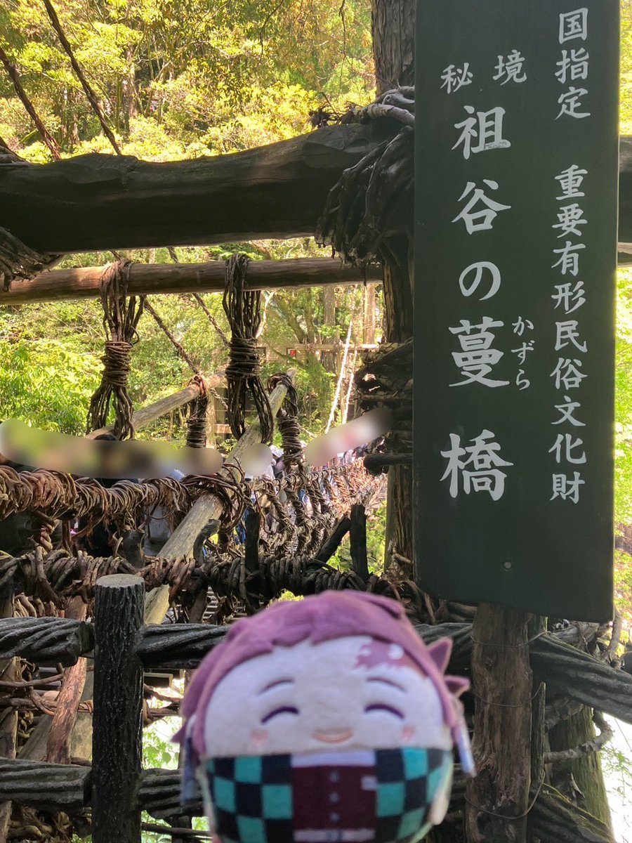 渋いお茶🍵🌺 tweet media