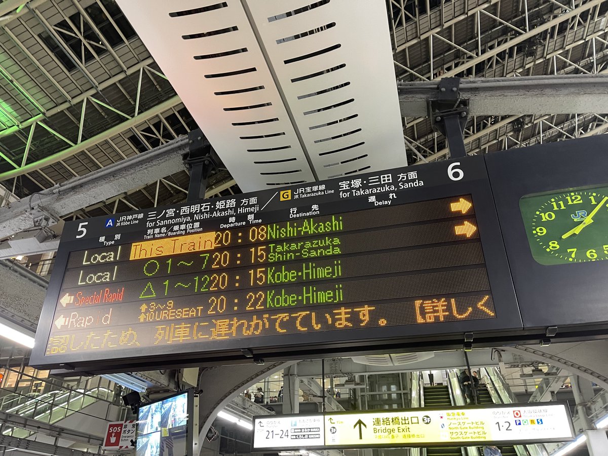コッハー。 tweet media
