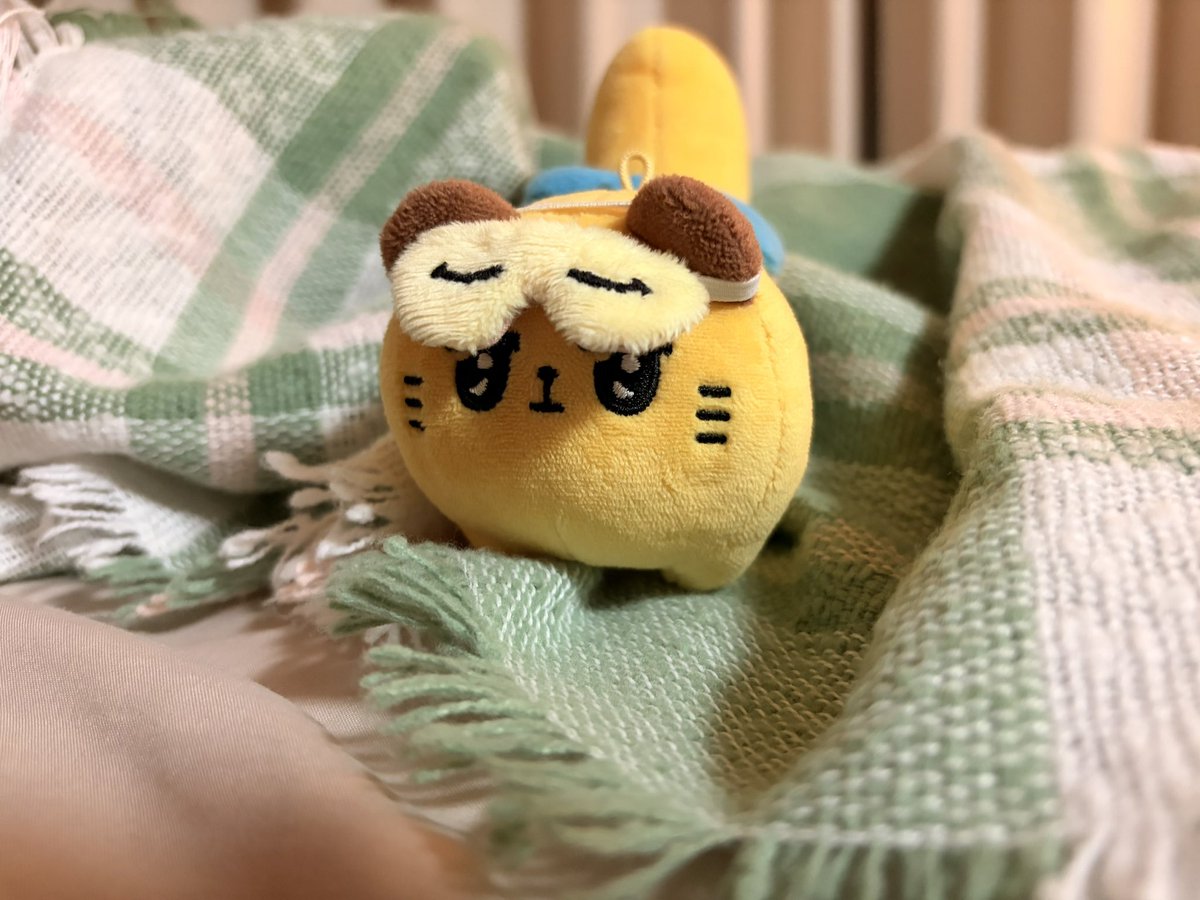 丹羽 tweet media